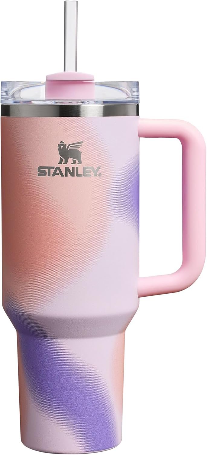 Metal Water Bottle with Straw, Handle and Lid